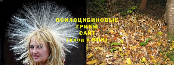 COCAINE Дмитриев