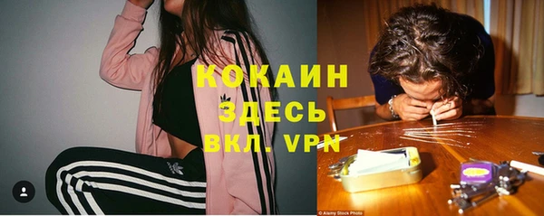 каннабис Дмитров